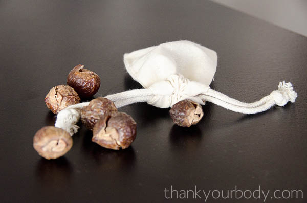 soap nuts: all natural laundry made super easy!