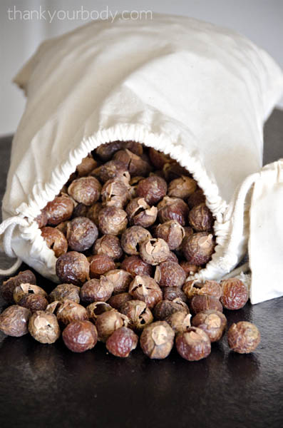 soap nuts: all natural laundry made super easy!