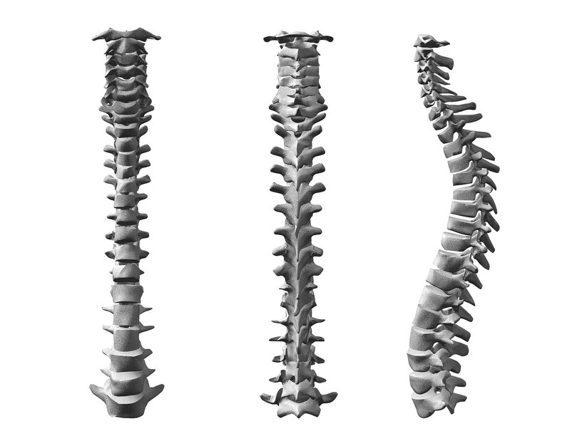 Does your posture "stack up"? Learn the secrets to good posture.