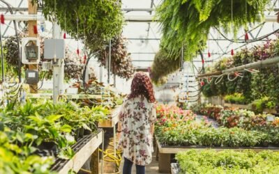 The Joys and Challenges of Managing a Family Greenhouse