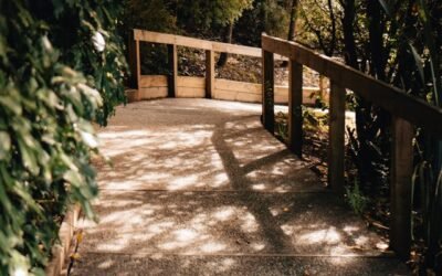 Planning the Ideal Biking Holiday Itinerary in New Zealand