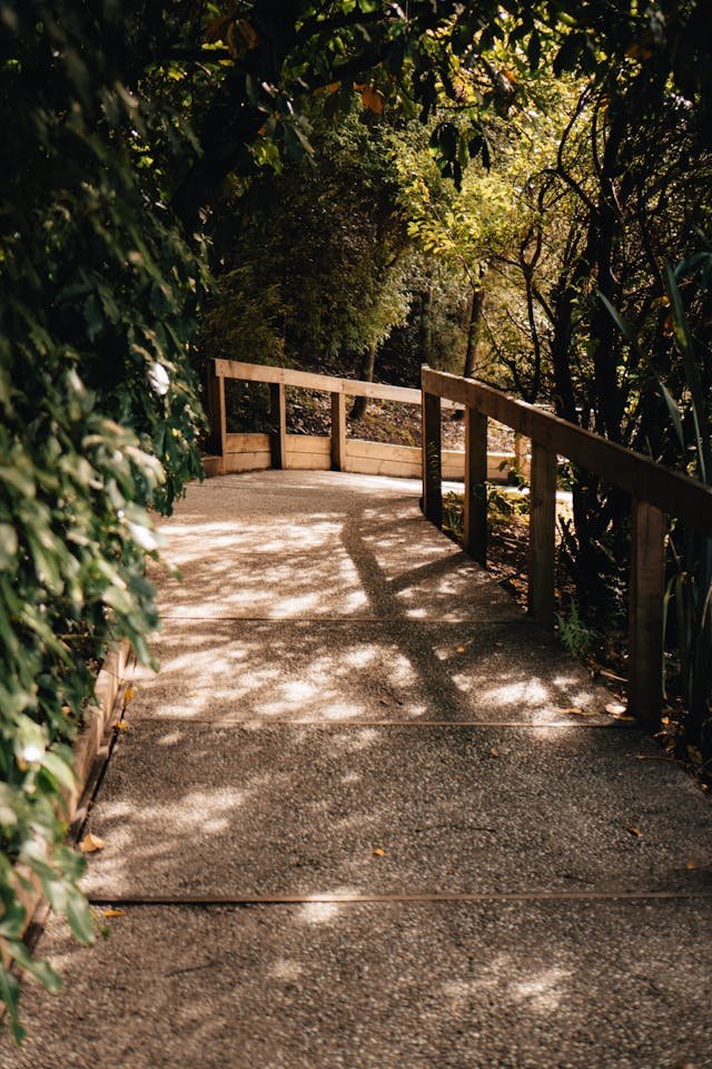 Planning the Ideal Biking Holiday Itinerary in New Zealand